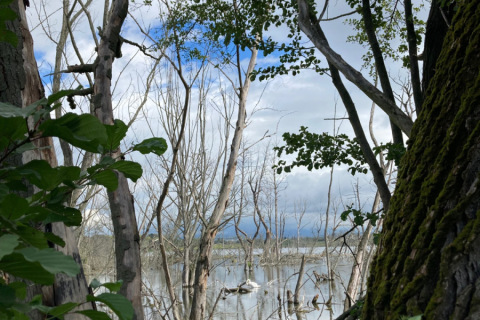 Tiahnutie-ziab-Kos-2